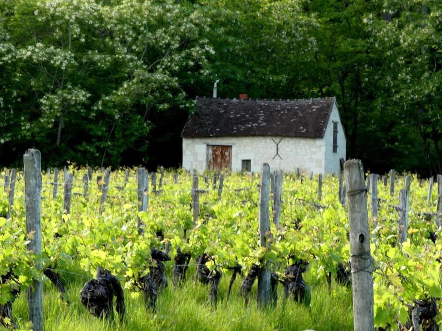 Maison De Bourg Paisible Parcay-sur-Vienne Exteriér fotografie